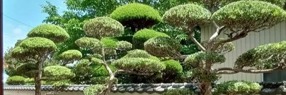 ろくろぎえんの画像